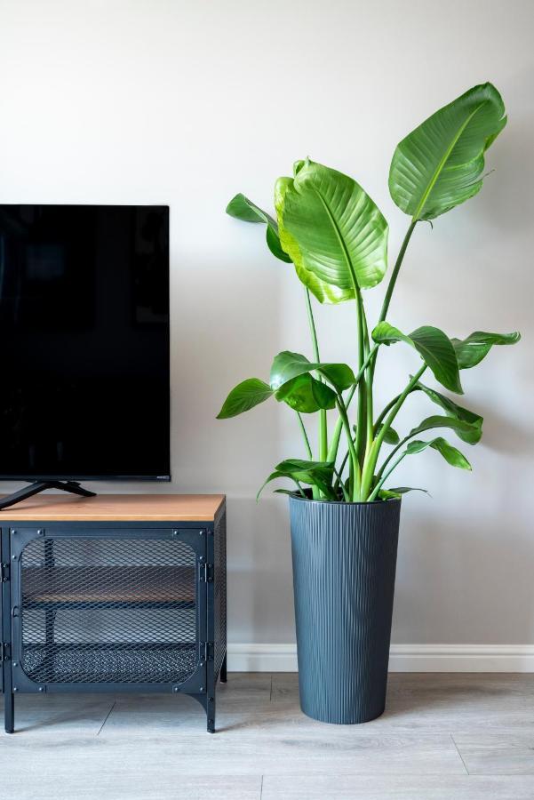 Apartament Sofii 弗罗茨瓦夫 外观 照片